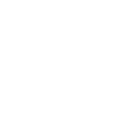 Developer Partner Logo 13