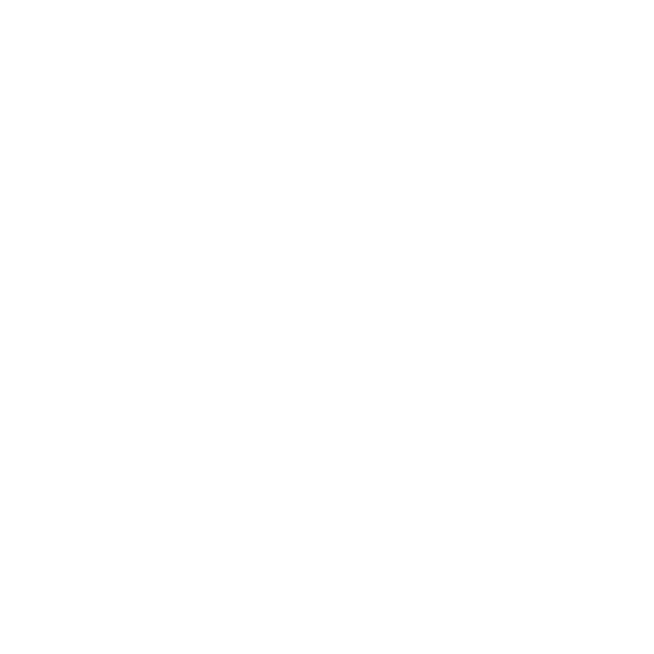 Developer Partner Logo 19