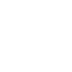 Developer Partner Logo 19